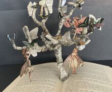 Img 7575