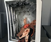 Img 7567